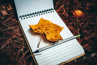 عن الكتابة