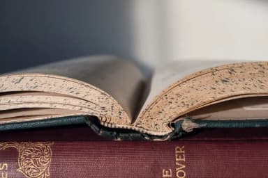 البلاغة المغيّبة في الدرس البلاغي